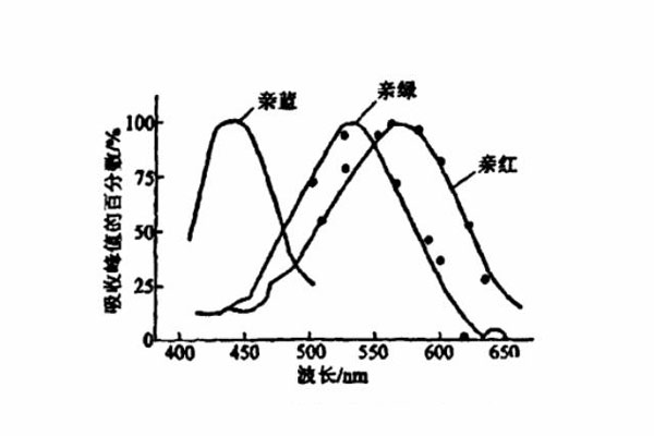 視網膜不同錐體細胞的吸收光譜曲線