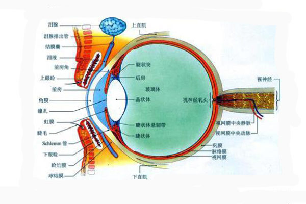 顏色是怎么被人眼感知的？顏色怎么表示與復(fù)現(xiàn)？